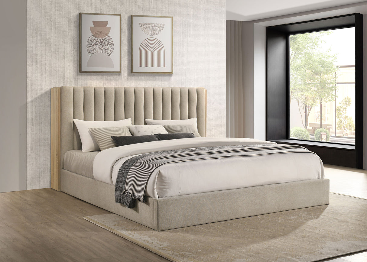 Arielle Bookcase Bed - Furniture World
