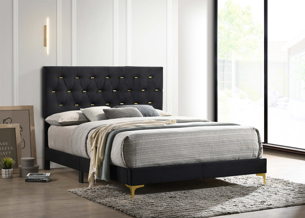 Kendall Panel Bed - Furniture World