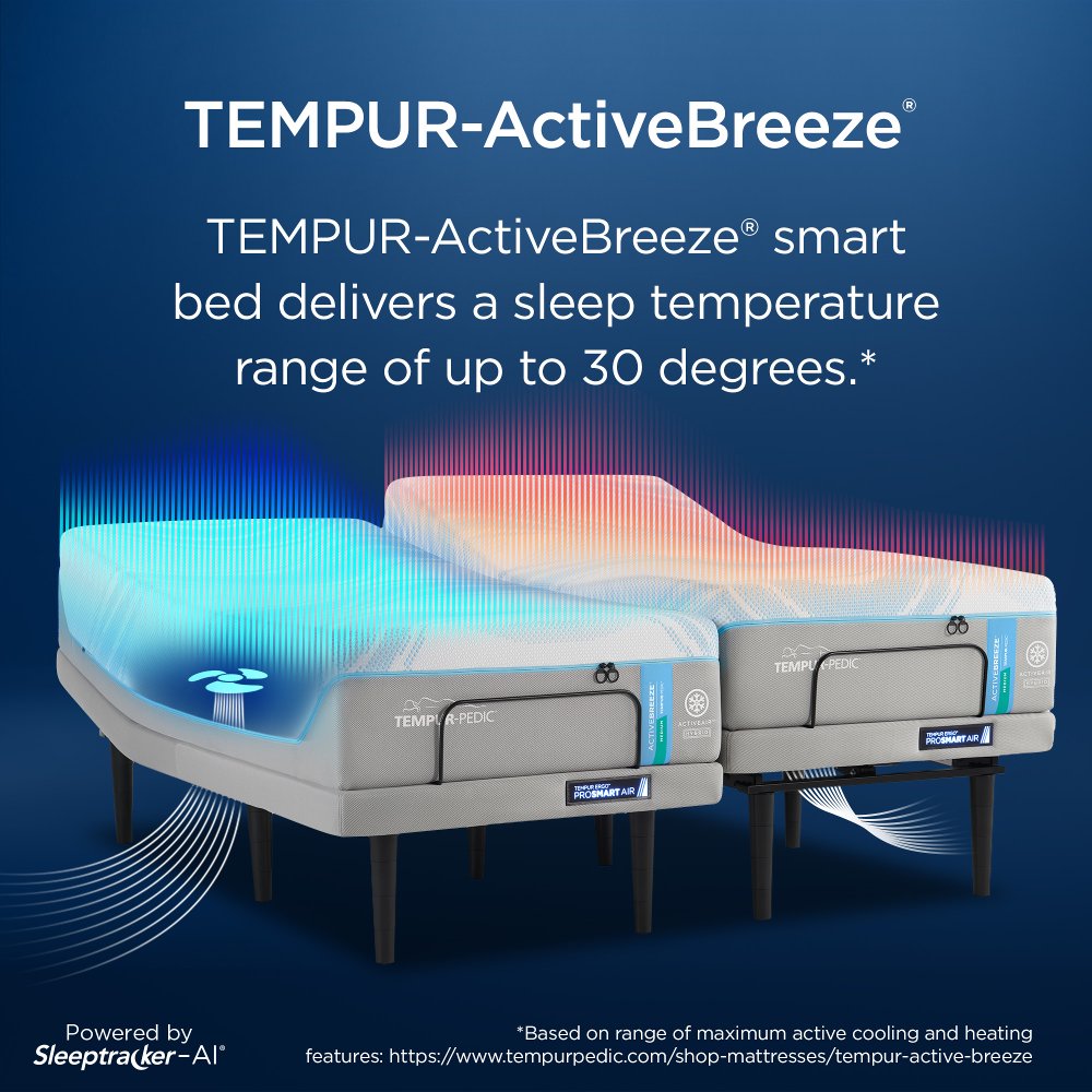 Tempur-Ergo ProSmart Air