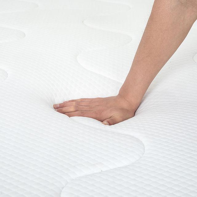 Catmint 12" Twin Innerspring Mattress - Furniture World