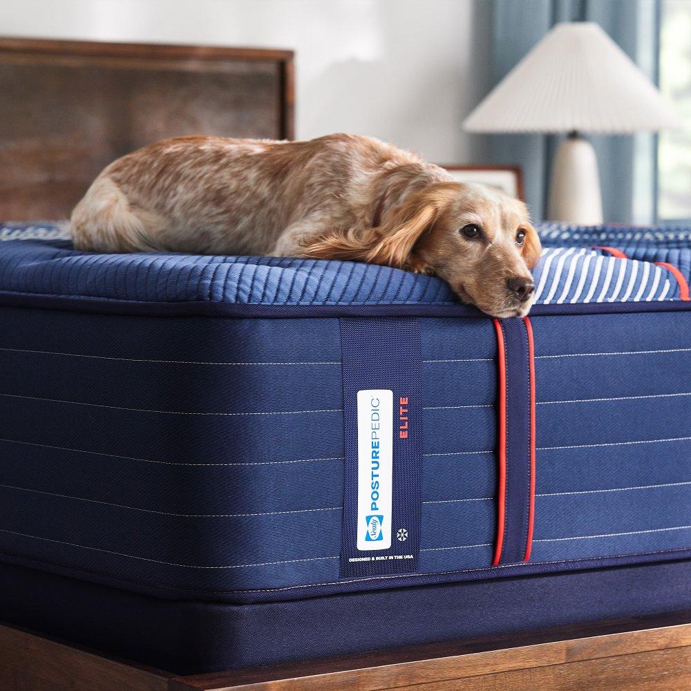 Albany II Spring Mattress