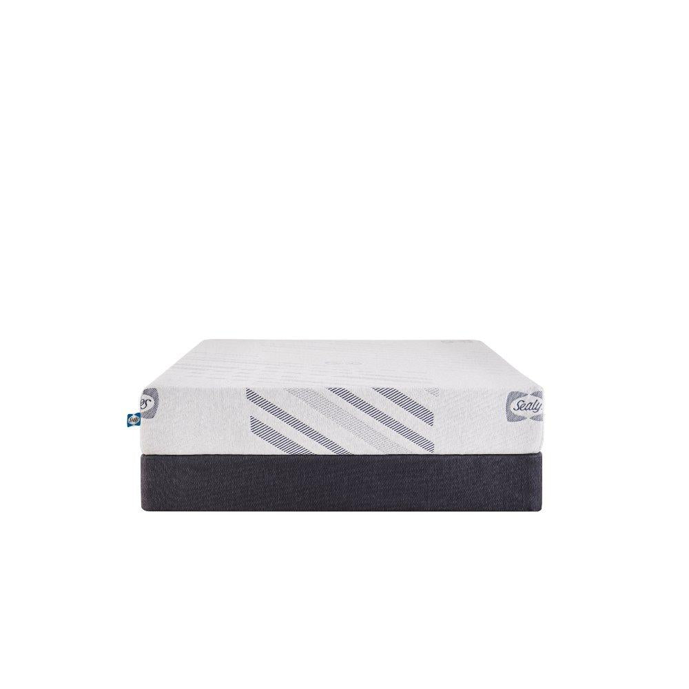 Sealy Lane Foam Mattress
