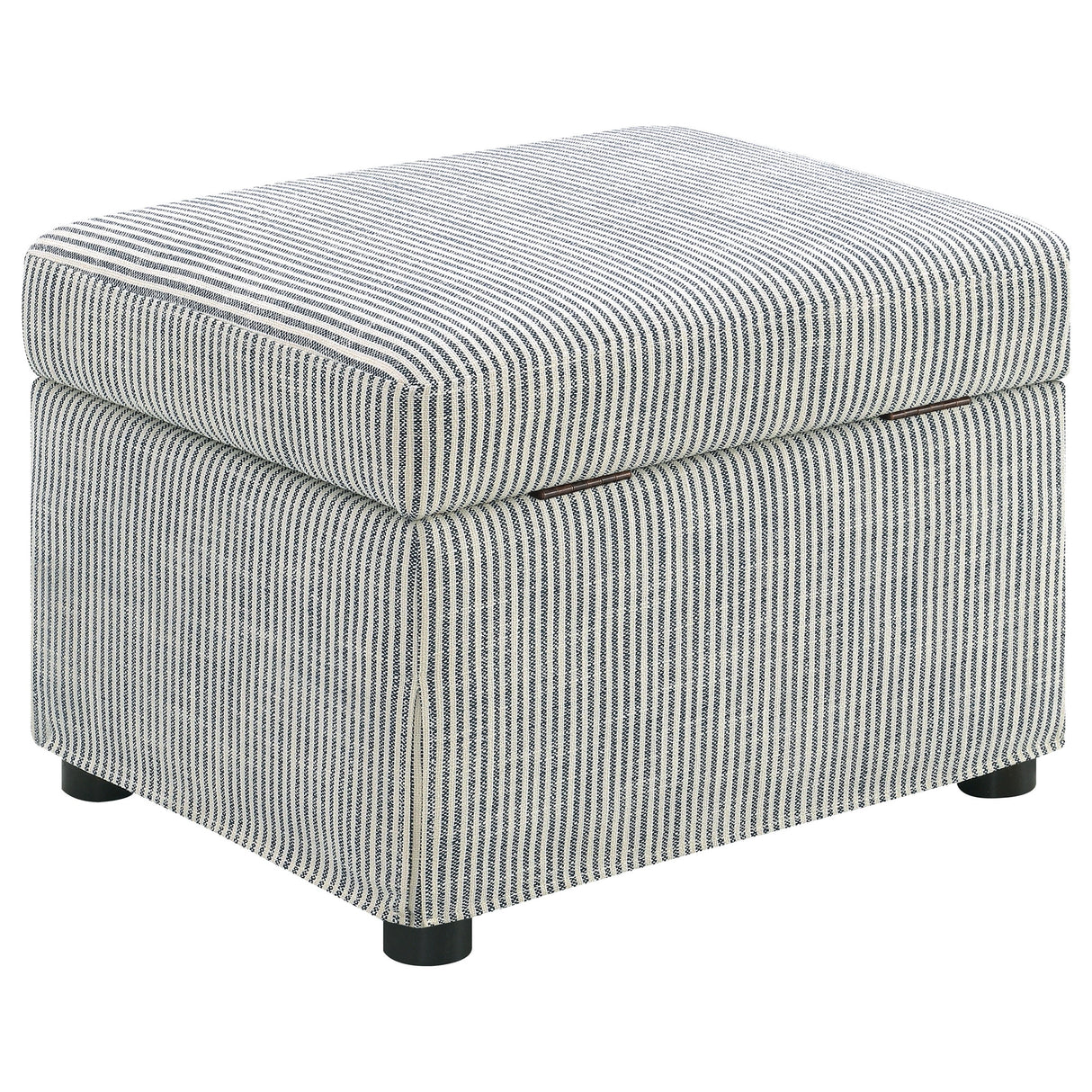 Winter Storage Ottoman