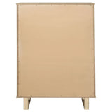Kailani Chest of Drawers