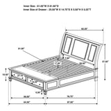 Sandy Beach Panel Platform Storage Bed - Furniture World