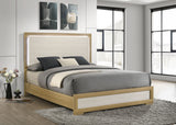 Hyland Panel Bed with LED Lighting - Furniture World