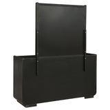 Leandro Dresser with Mirror - Furniture World