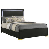 Marceline Panel Bed with LED Lighting - Furniture World