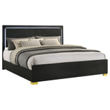 Marceline Panel Bed with LED Lighting - Furniture World