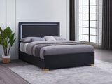 Marceline Panel Bed with LED Lighting - Furniture World