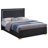 Marceline Panel Bed with LED Lighting - Furniture World