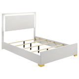 Marceline Panel Bed with LED Lighting - Furniture World