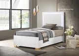 Marceline Panel Bed with LED Lighting - Furniture World