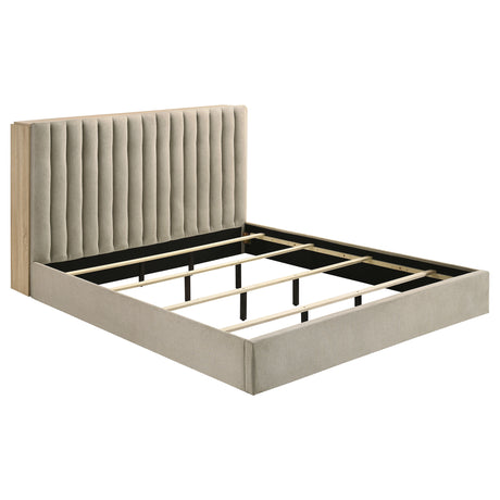 Arielle Bookcase Bed - Furniture World