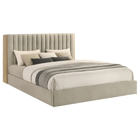 Arielle Bookcase Bed - Furniture World