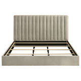 Arielle Bookcase Bed - Furniture World