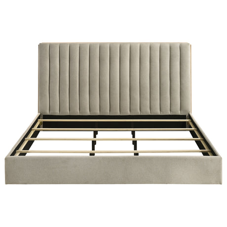 Arielle Bookcase Bed - Furniture World