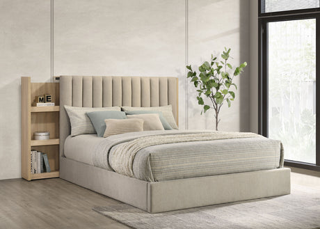Arielle Bookcase Bed - Furniture World