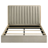Arielle Bookcase Bed - Furniture World