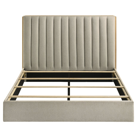 Arielle Bookcase Bed - Furniture World