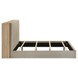 Arielle Bookcase Bed - Furniture World