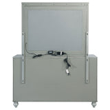 Gunnison Dresser with Mirror - Furniture World