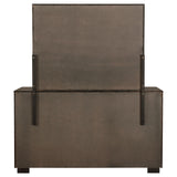 Durango Dresser with Mirror - Furniture World