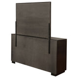 Durango Dresser with Mirror - Furniture World