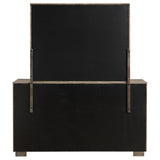 Durango Dresser with Mirror - Furniture World