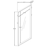 Durango Floor Mirror - Furniture World