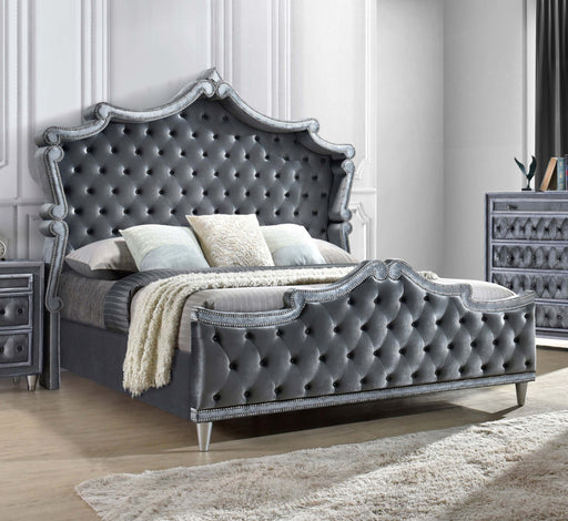 Antonella Upholstered Tufted Eastern King Bed Grey - Furniture World