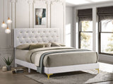 Kendall Panel Bed - Furniture World