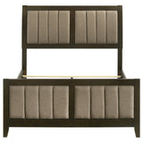 Wilkes Panel Bed - Furniture World
