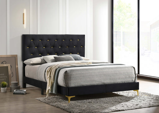 Kendall Tufted Panel Bed Black and Gold - Furniture World