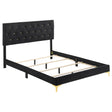 Kendall Panel Bed - Furniture World