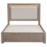 Kenora Panel Platform Storage Bed with LED Lighting - Furniture World