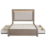 Kenora Panel Platform Storage Bed with LED Lighting - Furniture World