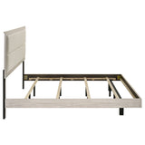 Trenton Panel Bed - Furniture World