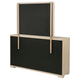 Ladera Dresser with Mirror - Furniture World