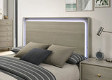 Rainier Queen Bedroom Set Gray