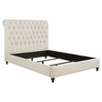 Devon Panel Bed - Furniture World
