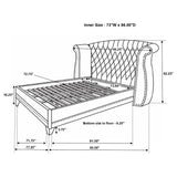 Barzini Wingback Platform Bed - Furniture World
