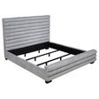 Patricia Panel Bed - Furniture World