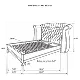 Barzini Wingback Platform Bed - Furniture World