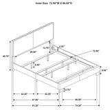 Dorian Panel Bed - Furniture World