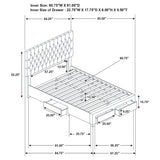 Soledad Panel Platform Storage Bed - Furniture World