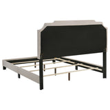 Tamarac Panel Bed - Furniture World