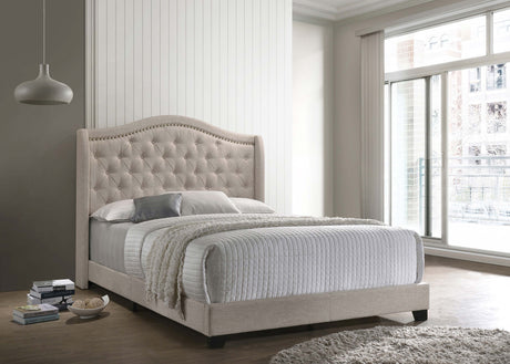 Sonoma Wingback Bed - Furniture World