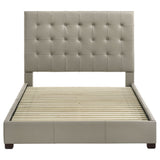 Medley Panel Platform Bed - Furniture World