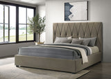 Delsea Panel Platform Bed - Furniture World